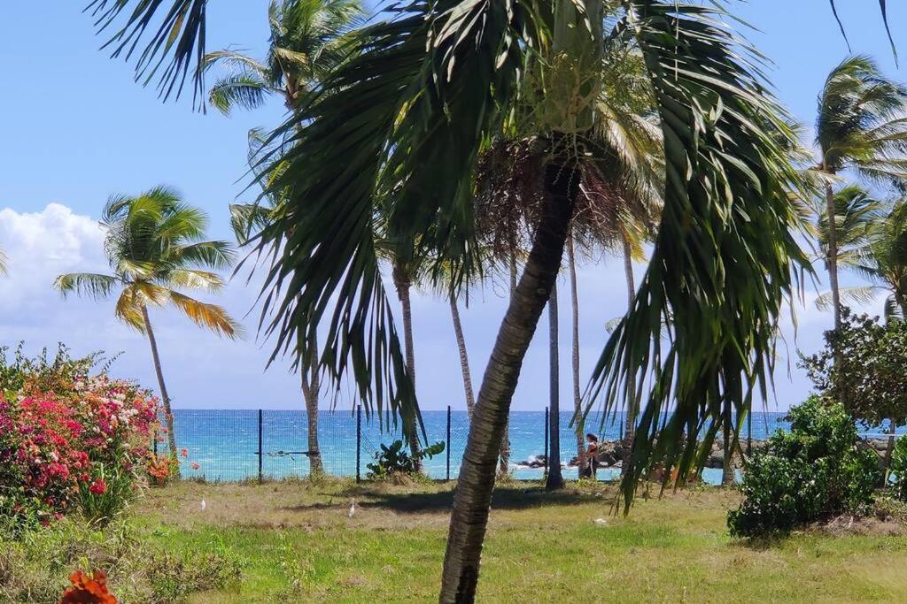 Parfum Des Iles - Vue Mer, Plage A 30M Et Piscine En Option 哥西尔 外观 照片