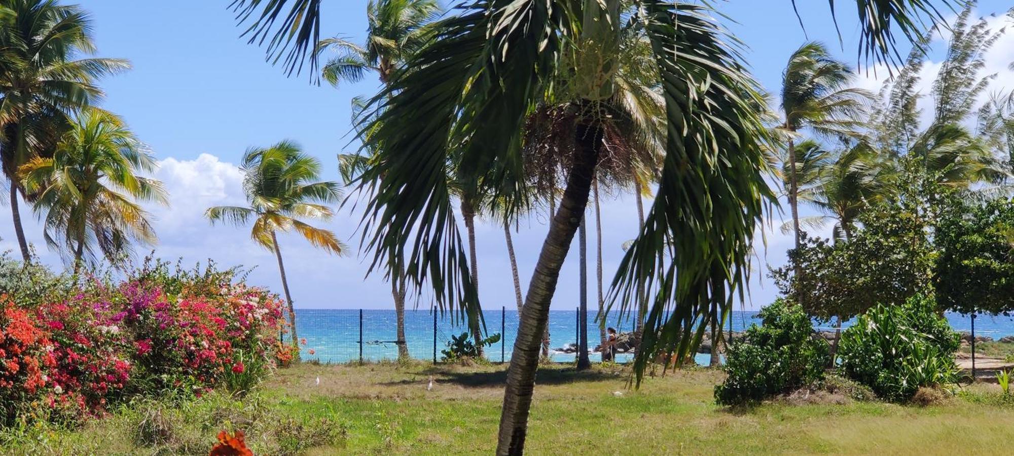 Parfum Des Iles - Vue Mer, Plage A 30M Et Piscine En Option 哥西尔 外观 照片