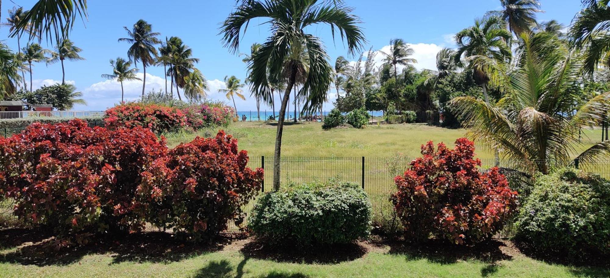 Parfum Des Iles - Vue Mer, Plage A 30M Et Piscine En Option 哥西尔 外观 照片